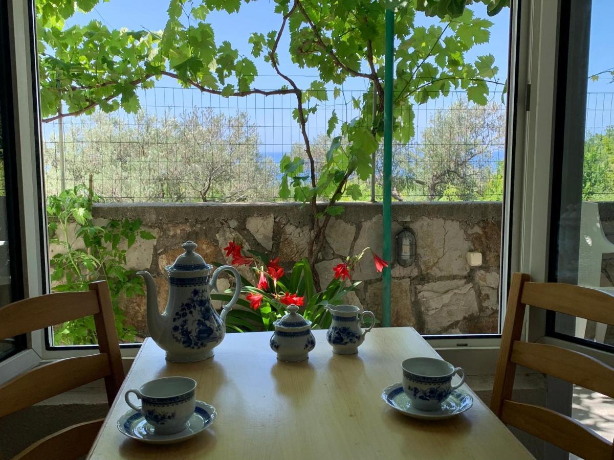 Apartments Mirian Petrovac المظهر الخارجي الصورة