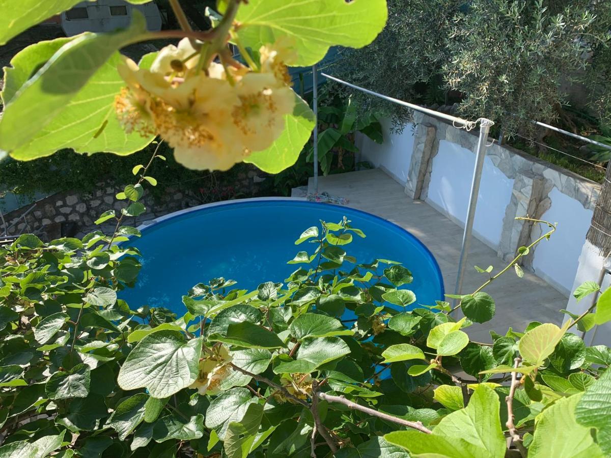 Apartments Mirian Petrovac المظهر الخارجي الصورة