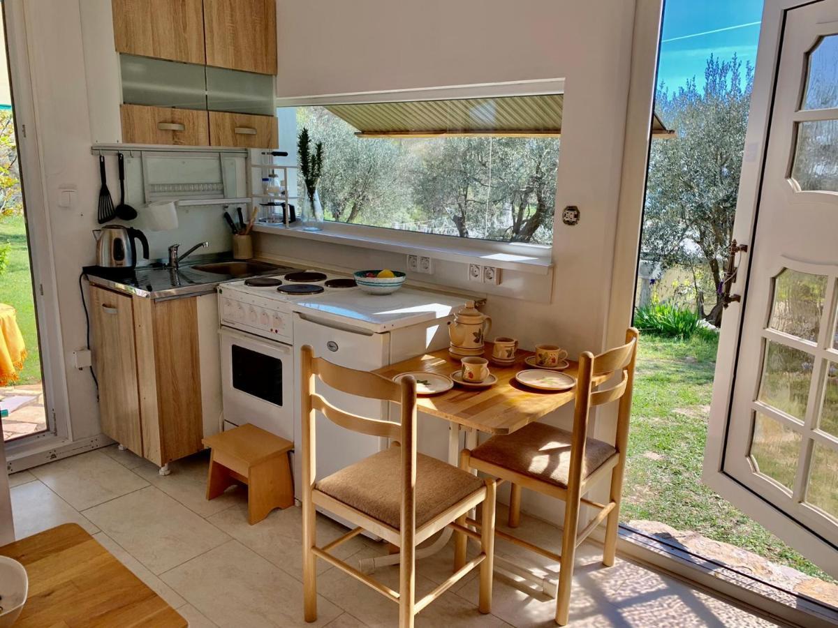 Apartments Mirian Petrovac المظهر الخارجي الصورة