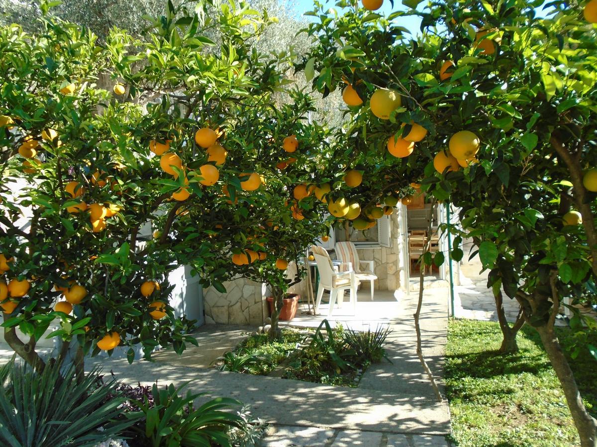 Apartments Mirian Petrovac المظهر الخارجي الصورة
