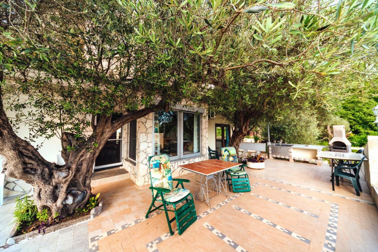 Apartments Mirian Petrovac المظهر الخارجي الصورة